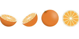 Oranges Citrus Fruits Stickdatei