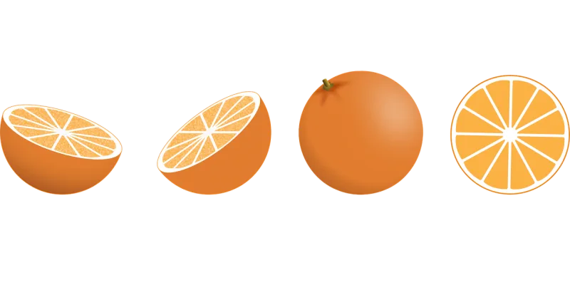 Oranges Citrus Fruits Stickdatei – Essen & Trinken