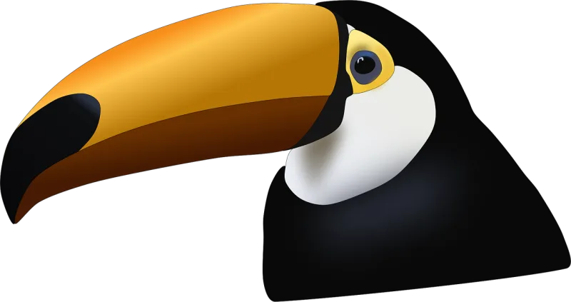 Toucan Bird Tropical Stickdatei – Natur