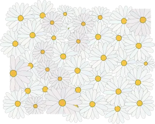 Daisy Flower Spring Stickdatei