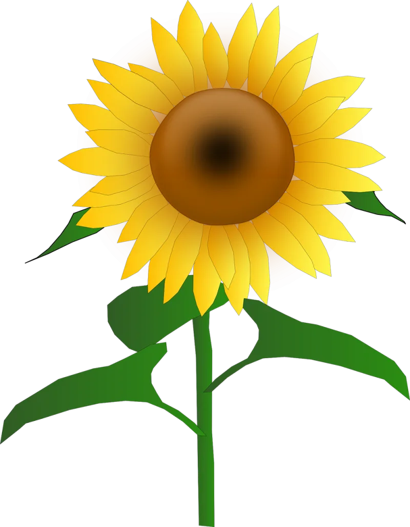 Sunflower Blooms Blossom Stickdatei – Blumen