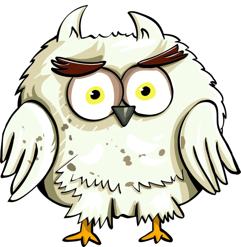 Owl Bird Eyes Stickdatei – Natur