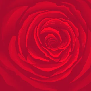Rose Flower Bloom Stickdatei