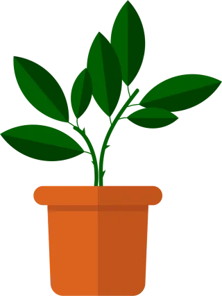 Flower Vase Flowers Stickdatei