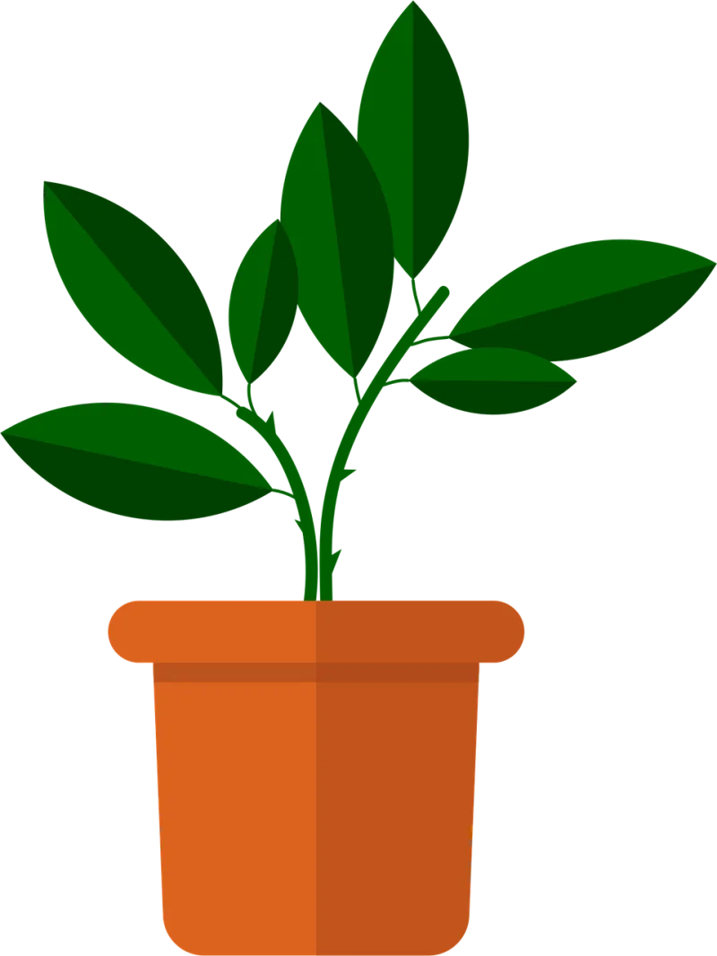 Flower Vase Flowers Stickdatei – Blumen