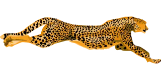 Cheetah Wildcat Fast Stickdatei