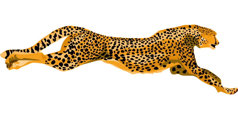 Cheetah Wildcat Fast Stickdatei – Sport