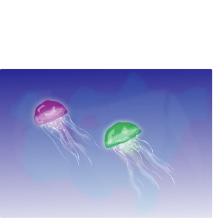Jellyfish Tentacles Swimming Stickdatei