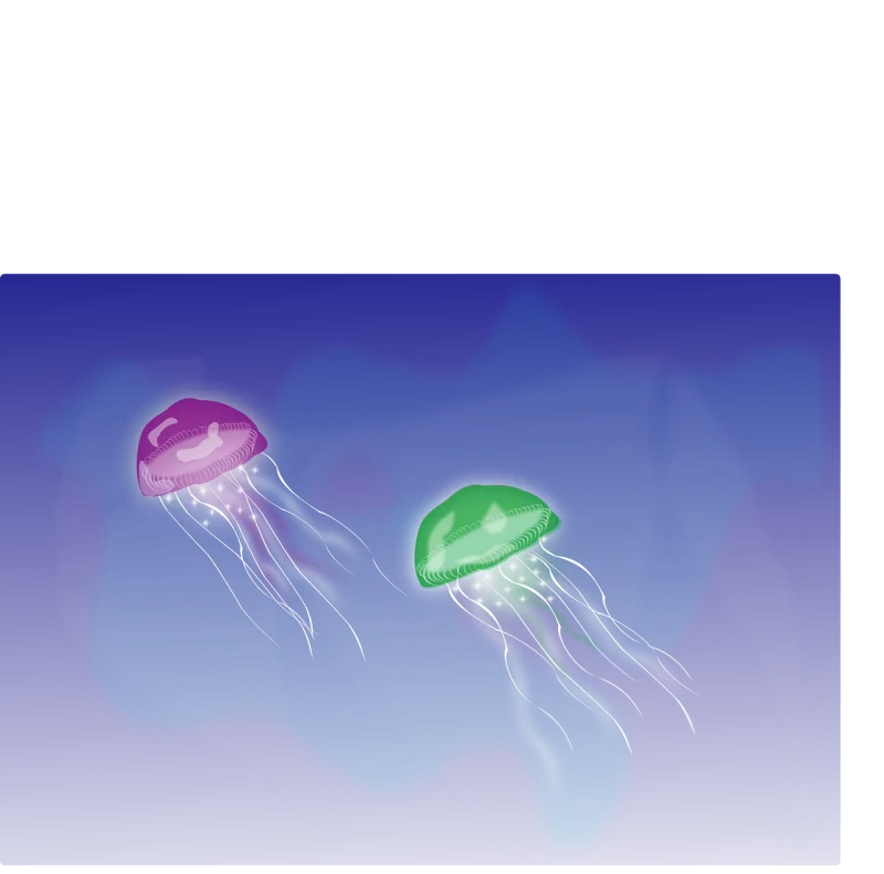 Jellyfish Tentacles Swimming Stickdatei – Sport