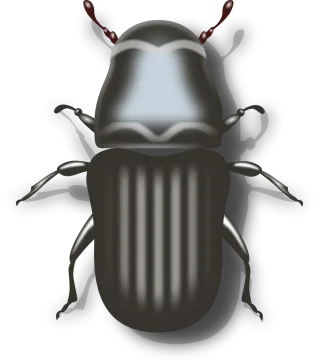 Bug Beetle Insect Stickdatei