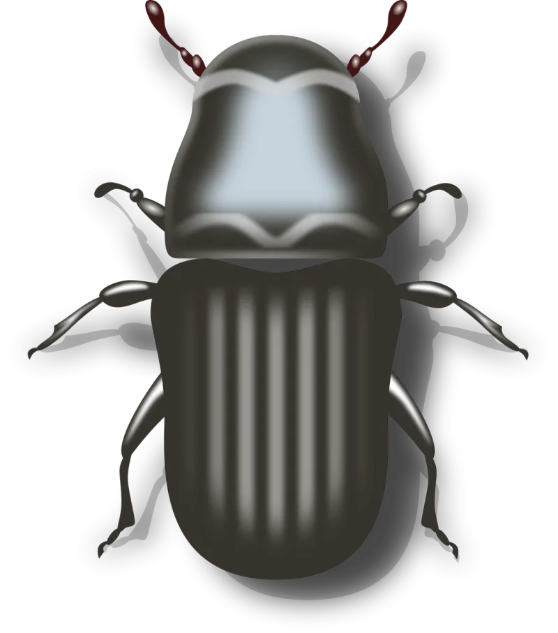 Bug Beetle Insect Stickdatei – Tiere