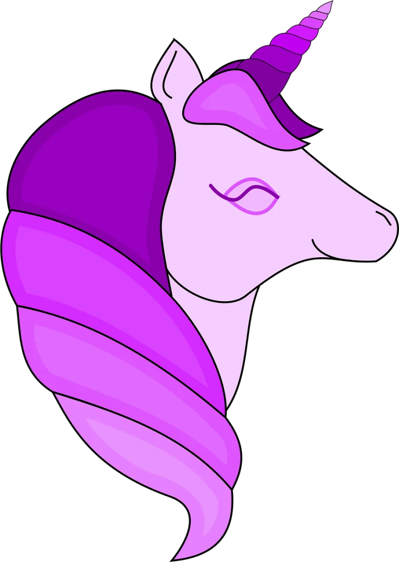 Unicorn Design Horse Stickdatei – Kinder