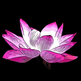 Flower Pink Lily Stickdatei