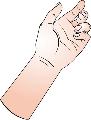 Hand Fingers Forearm Stickdatei