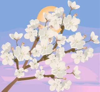 Cherry blossoms Spring Sunrise Stickdatei