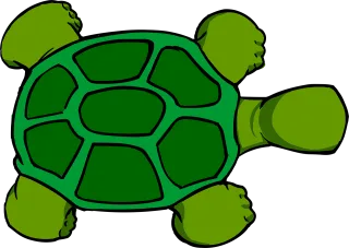 Turtle Top View Stickdatei
