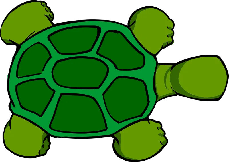 Turtle Top View Stickdatei – Tiere