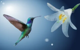 Hummingbird Bird Flower Stickdatei