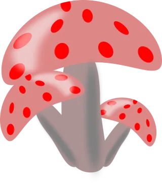 Mushrooms Vegetable Food Stickdatei