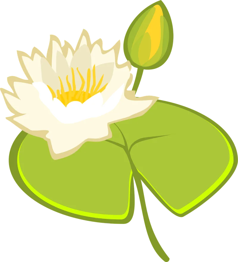 Water lily Lake Water Stickdatei – Blumen