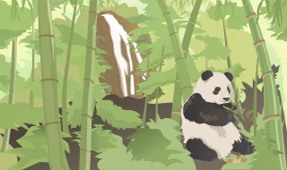 Panda Bamboo Waterfall Stickdatei