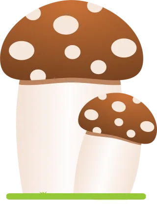 Mushrooms Mushroom Forest Stickdatei