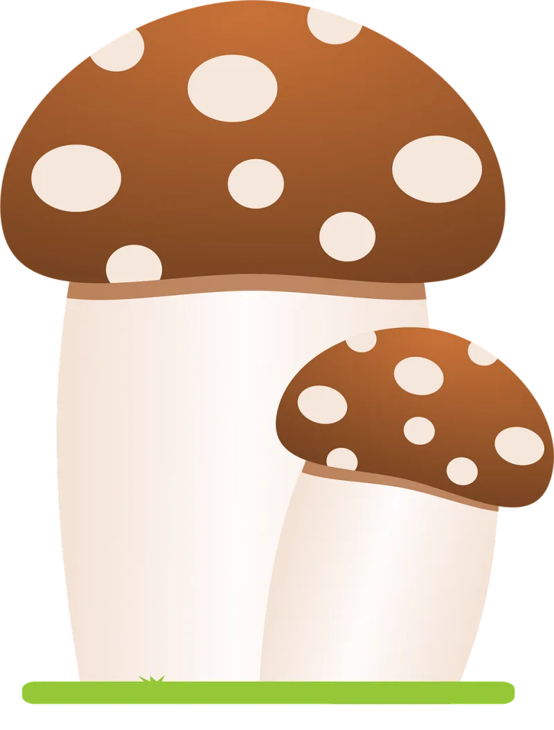 Mushrooms Mushroom Forest Stickdatei – Natur