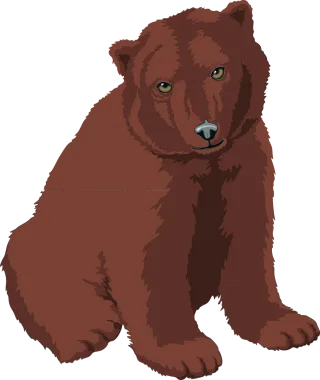 Bear Brown Coffee Stickdatei – Tiere