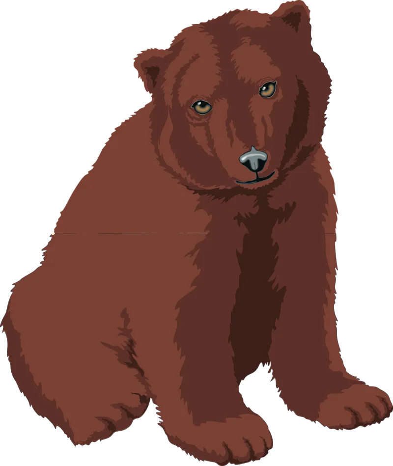 Bear Brown Coffee Stickdatei – Tiere
