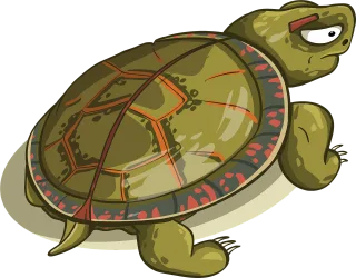 Turtle Carapace Amphibious Stickdatei