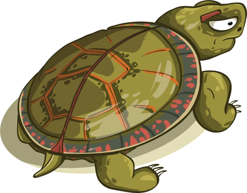 Turtle Carapace Amphibious Stickdatei – Tiere