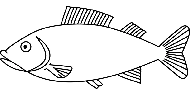 Fish Nature Sea Stickdatei – Tiere