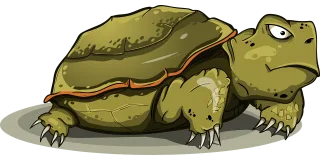 Turtle Amphibious Tortila Stickdatei