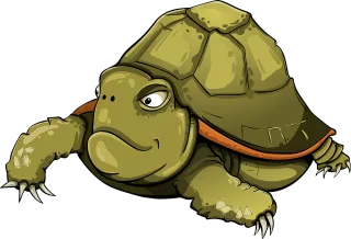 Turtle Amphibious Tortila Stickdatei