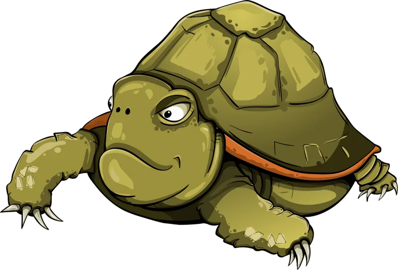 Turtle Amphibious Tortila Stickdatei – Tiere