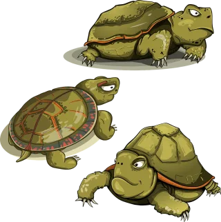Turtle Amphibious Kit Stickdatei