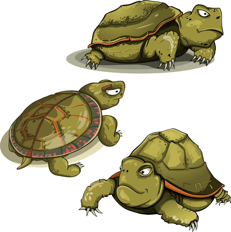 Turtle Amphibious Kit Stickdatei – Tiere