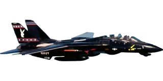 Fighter Tomcat Army Stickdatei