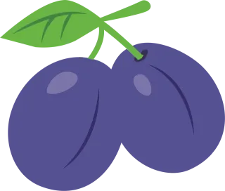 Plums Fruit Food Stickdatei