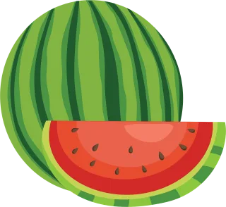 Watermelon Fruit Food Stickdatei
