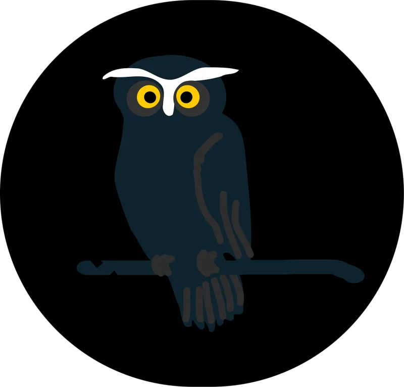 Owl Dark Black Stickdatei – Tiere