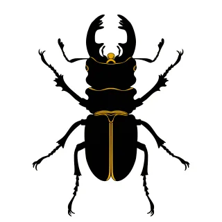 Beetle Insect Bug Stickdatei