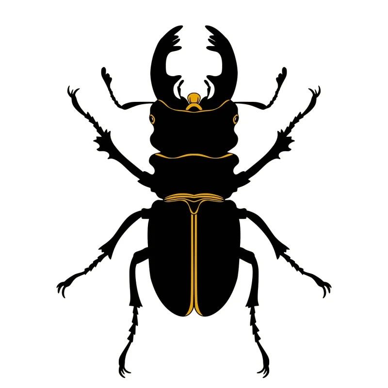 Beetle Insect Bug Stickdatei – Tiere
