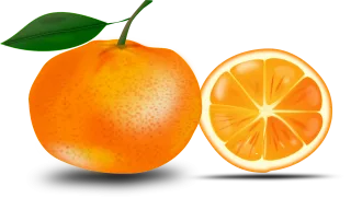Orange Fruit Food Stickdatei