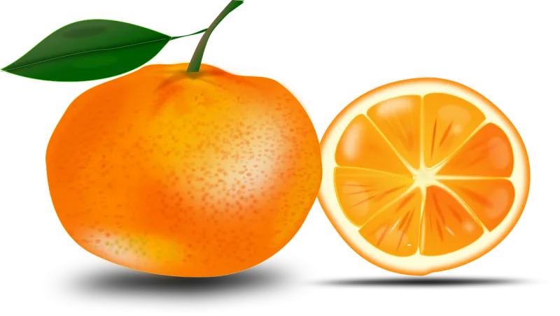 Orange Fruit Food Stickdatei – Natur
