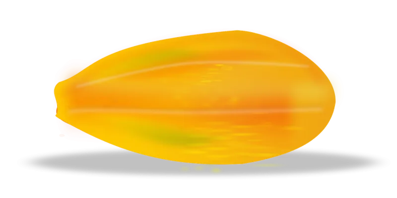 Papaya Fruit Slice Stickdatei – Essen & Trinken