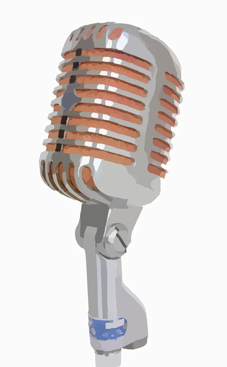 Microphone Mic Record Stickdatei – Musik