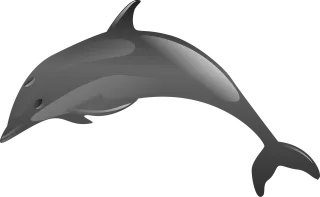 Dolphin Marine Jump Stickdatei