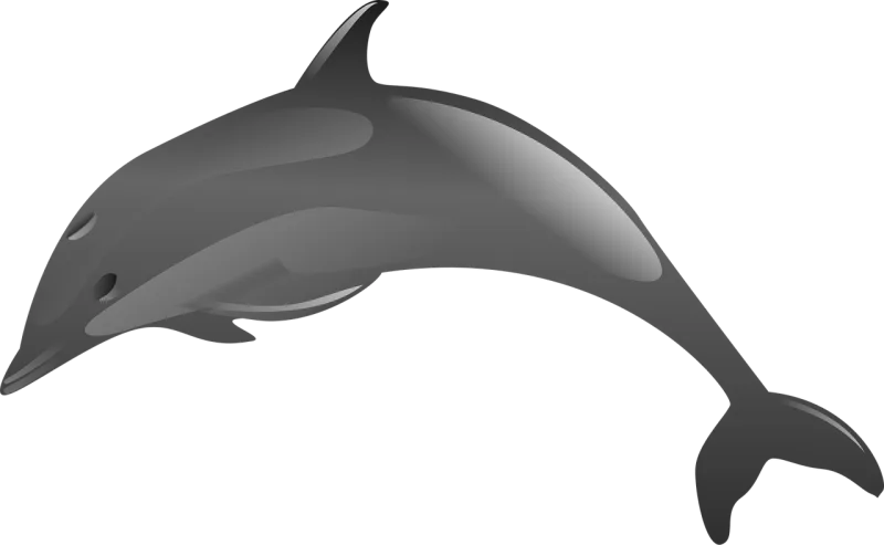 Dolphin Marine Jump Stickdatei – Tiere