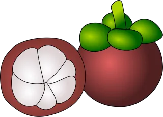 Mangostein Fruit Purple Stickdatei – Essen & Trinken